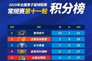 NBL常规赛积分榜:中国香港金牛独占头名 合肥、长沙紧随其后